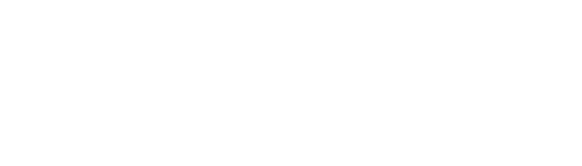 Destiny Logo